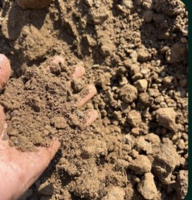 หน้าดินจริงในมือ สำหรับงานจัดสวน จากบริษัท เหมวรา จำกัด